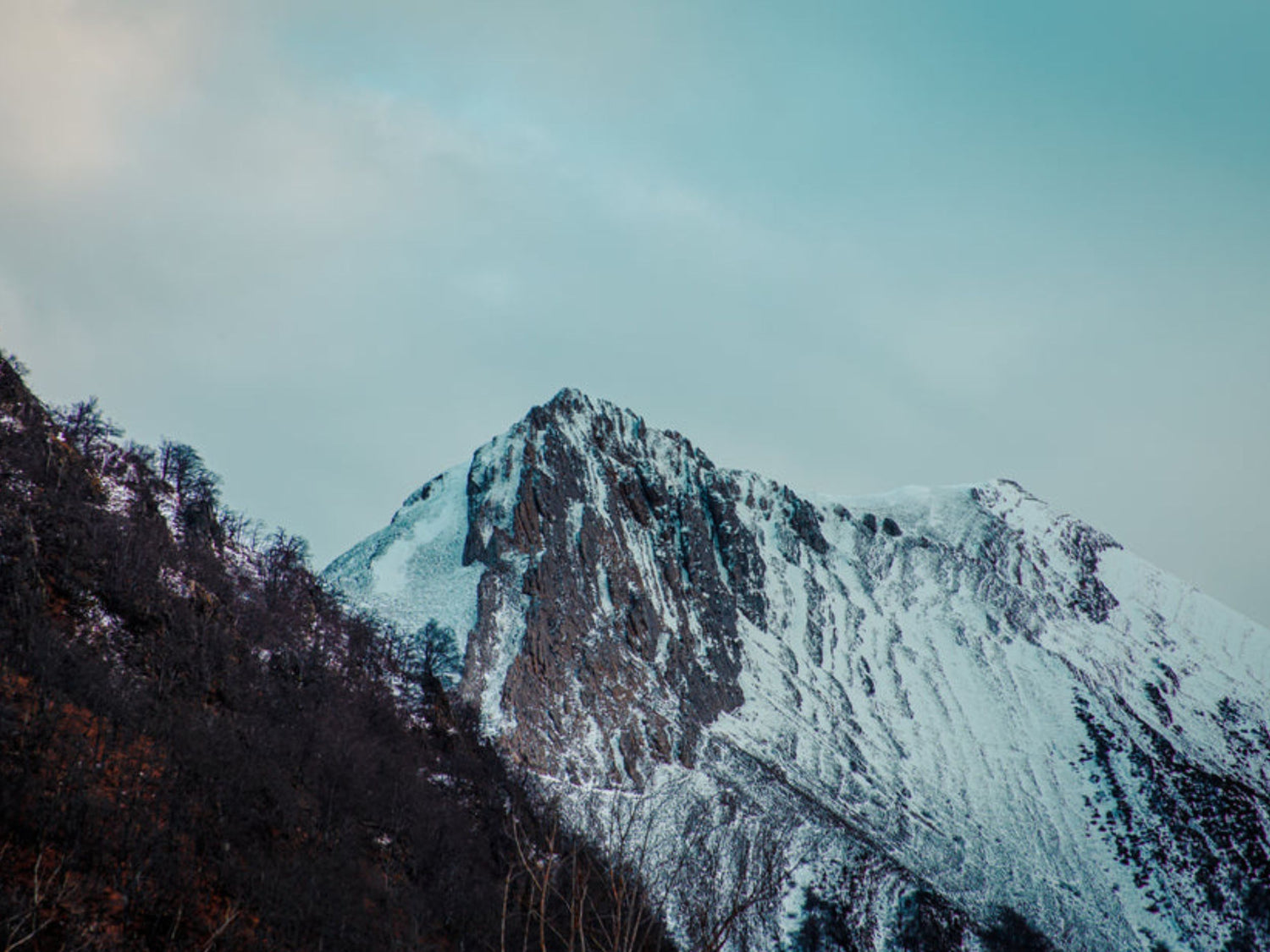 Mit der richtigen Hautpflege durch den Winter