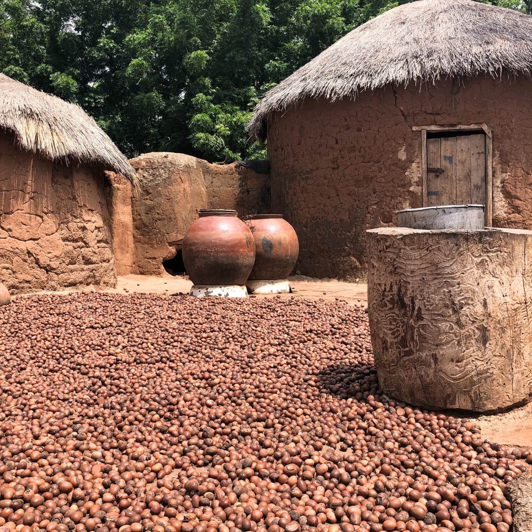 Pure Sheabutter DIY 5kg | 10kg